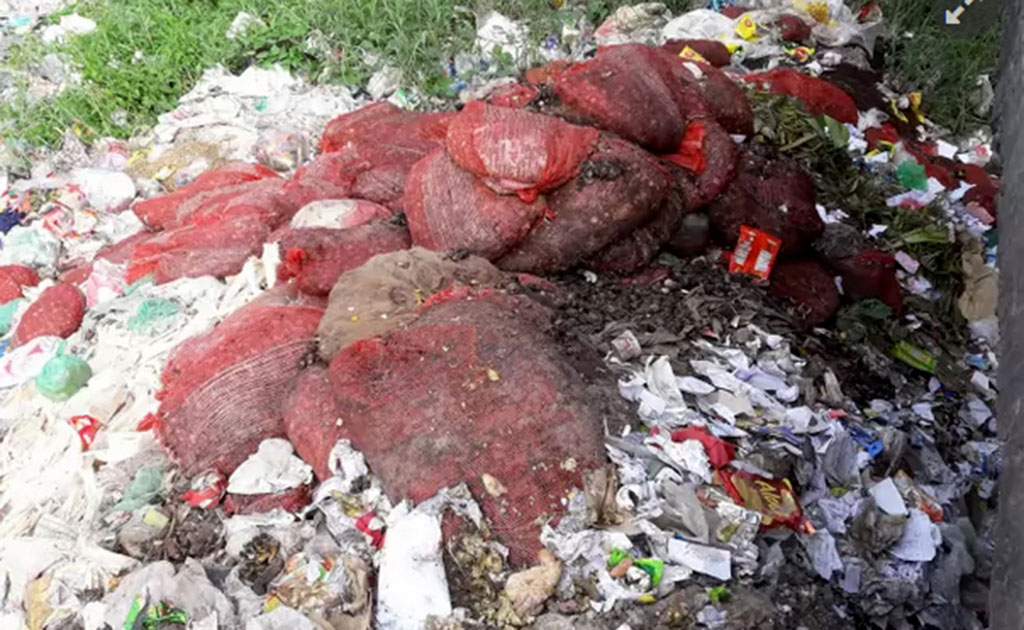 কুমিল্লায় সেতুর নিচে ময়লার ভাগাড়ে বস্তা বস্তা পঁচা পিয়াজ কুমিল্লায় সেতুর নিচে ময়লার ভাগাড়ে বস্তা বস্তা পঁচা পিয়াজ